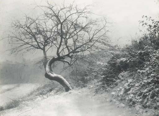 Leonard Misonne - Le Pommier, 1941