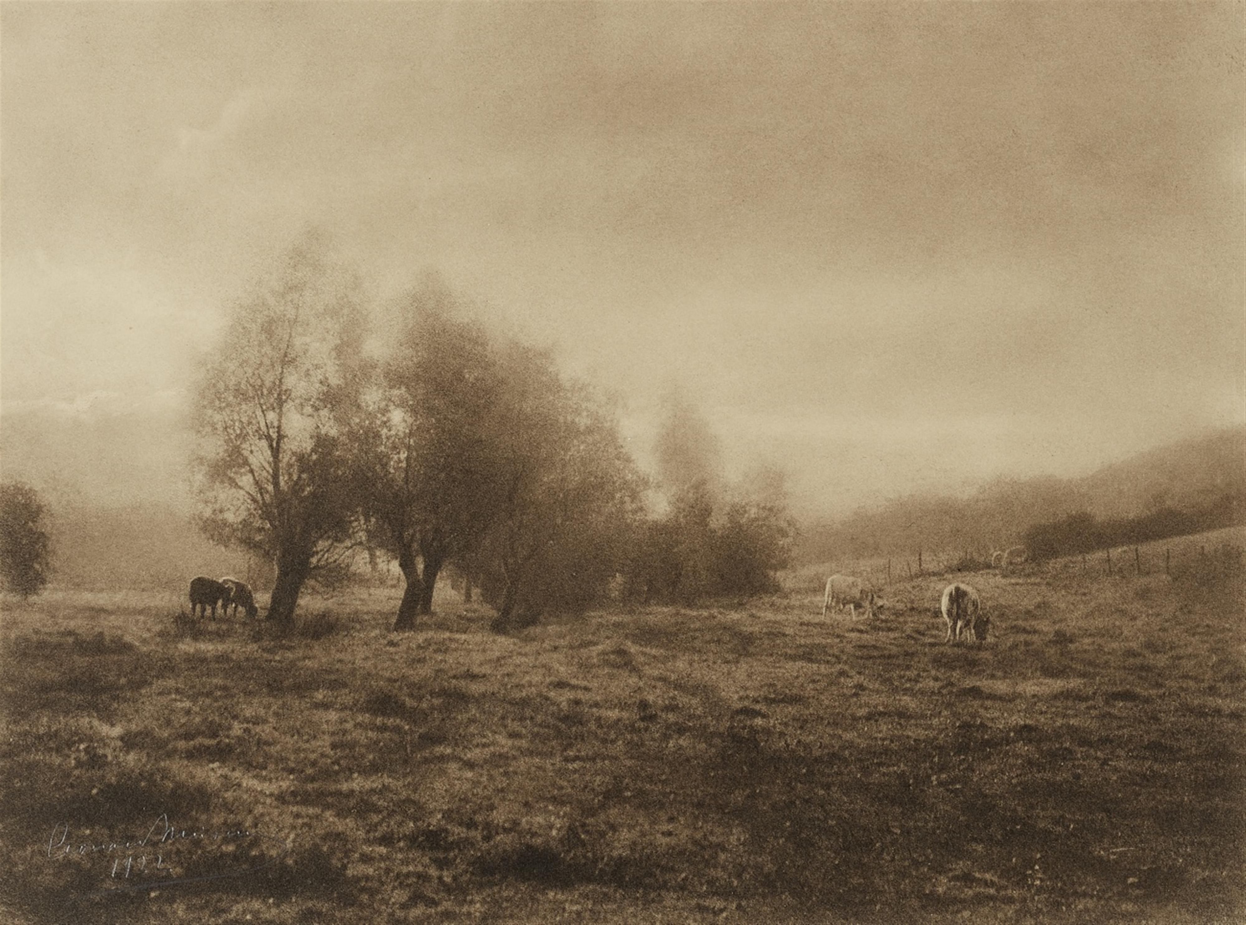 Léonard Misonne - Pâture