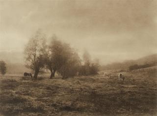 Léonard Misonne - Pâture