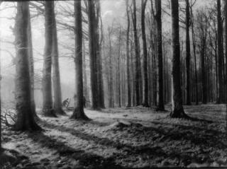 Léonard Misonne - Variante de \