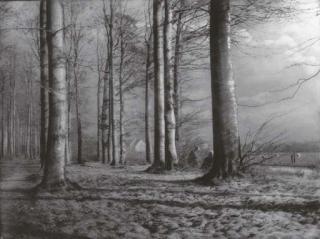 Léonard Missone - La Lisière du Bois