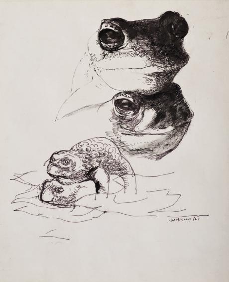 Leonardo Delfino - Sans titre