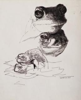 Leonardo Delfino - Sans titre