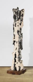 Leoncillo - Grande mutilazione (Large Mutilation)