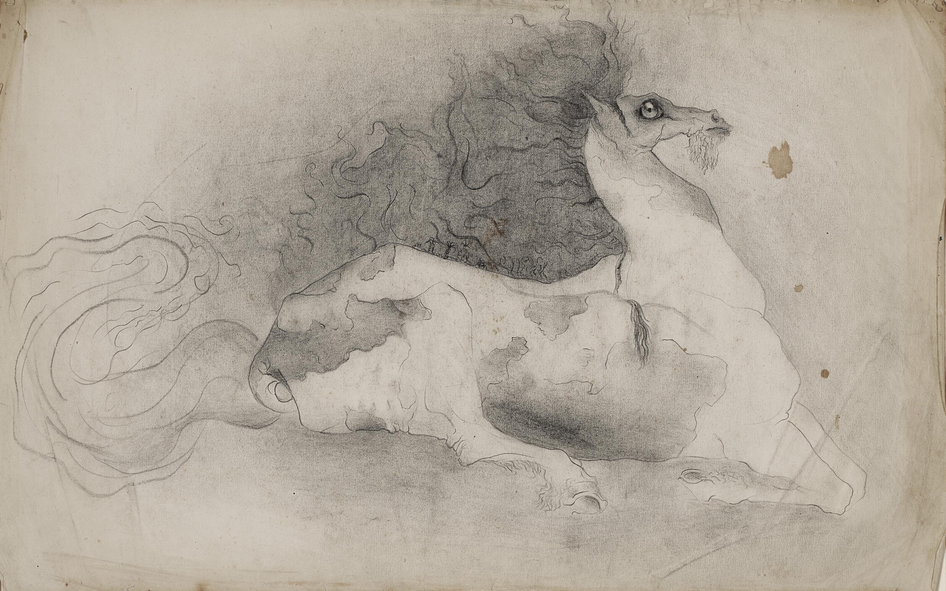 Leonora Carrington - Bearded Horse  Sheet from the September 1940 sketchbook (Sanatorio Morales, Santander).