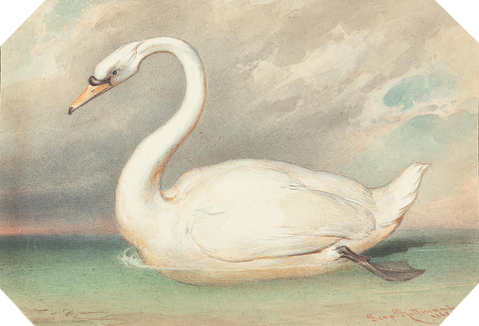 Leopold Rottmann - 2 Bll.: Höckerschwäne