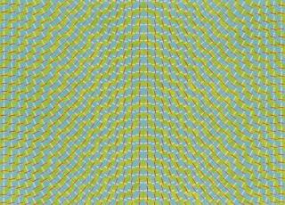 Lesley Dumbrell - Study