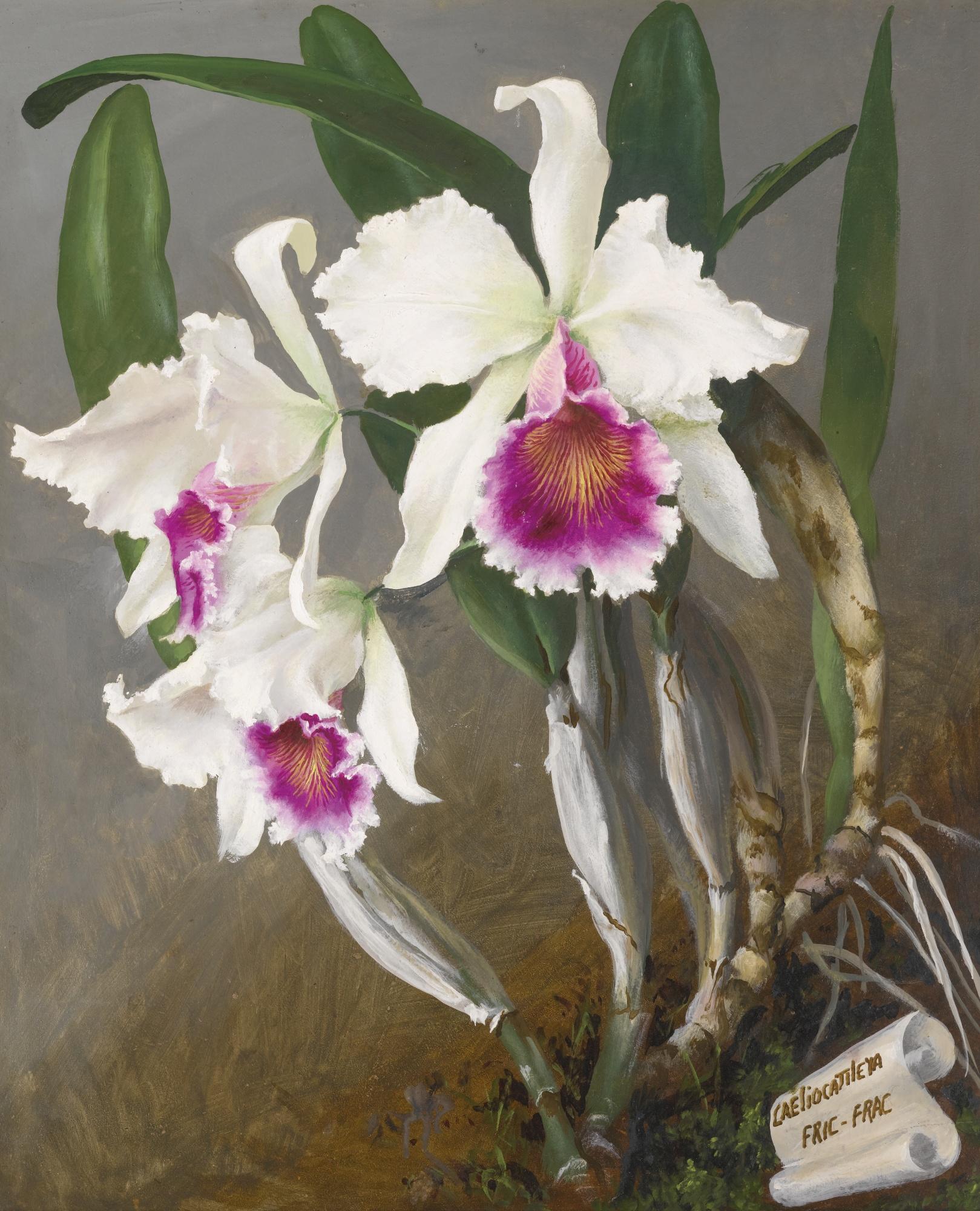 Lev Chistovsky - Still Life With White And Purple Orchids