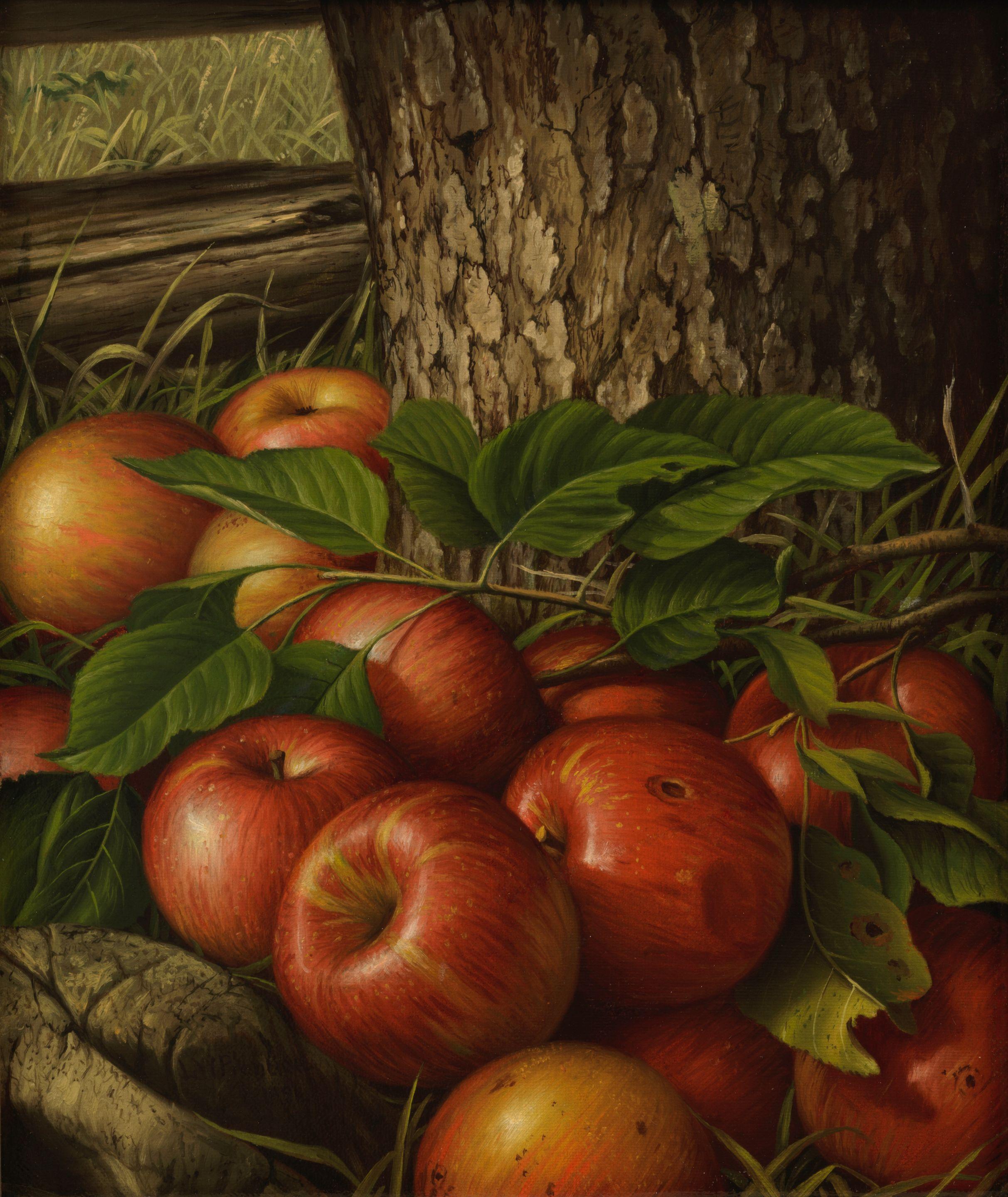 Levi Wells Prentice - Apples and Tree Trunk