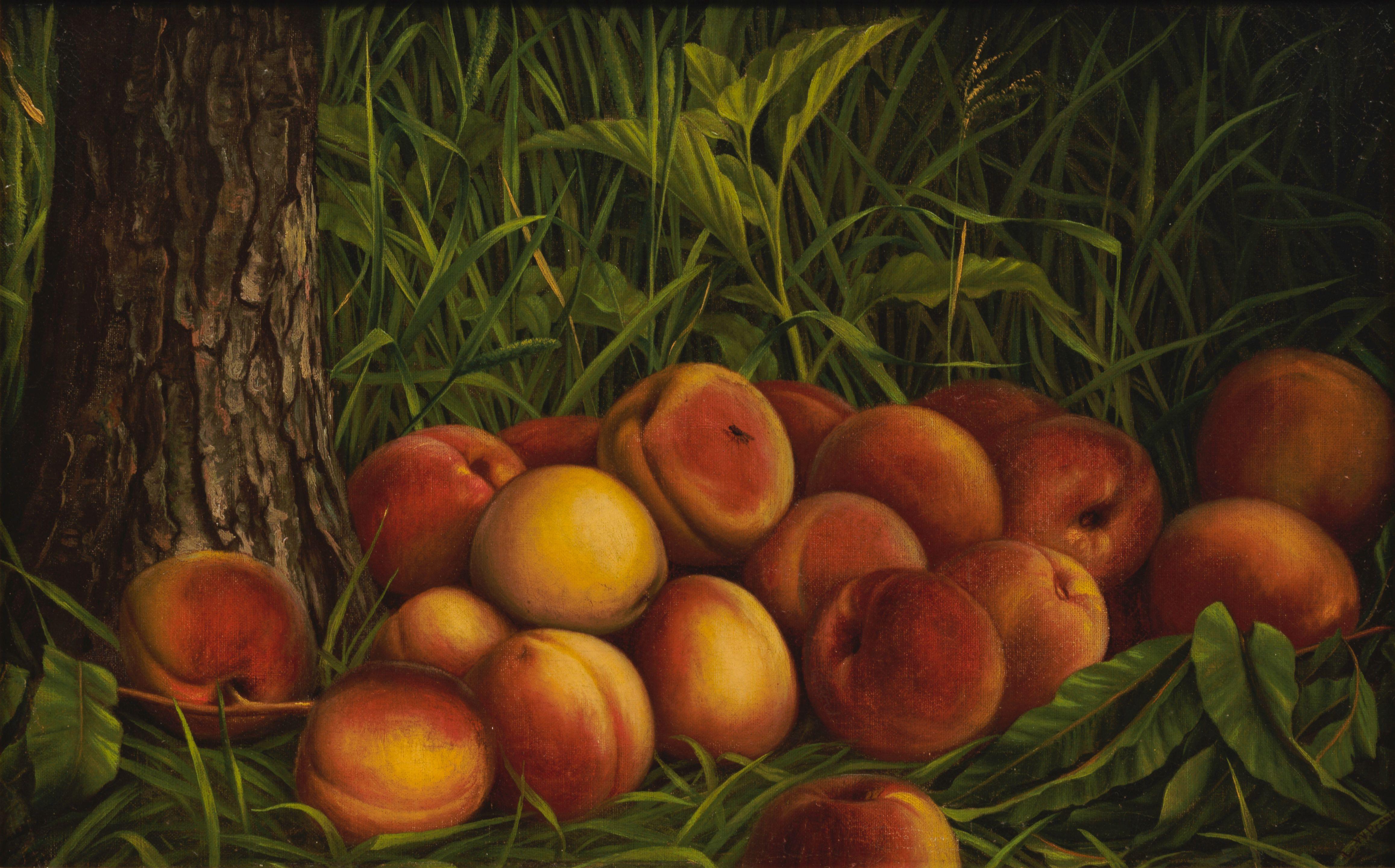 Levi Wells Prentice - Peaches