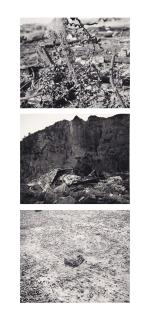 Lewis Baltz - San Quentin Point, 1985