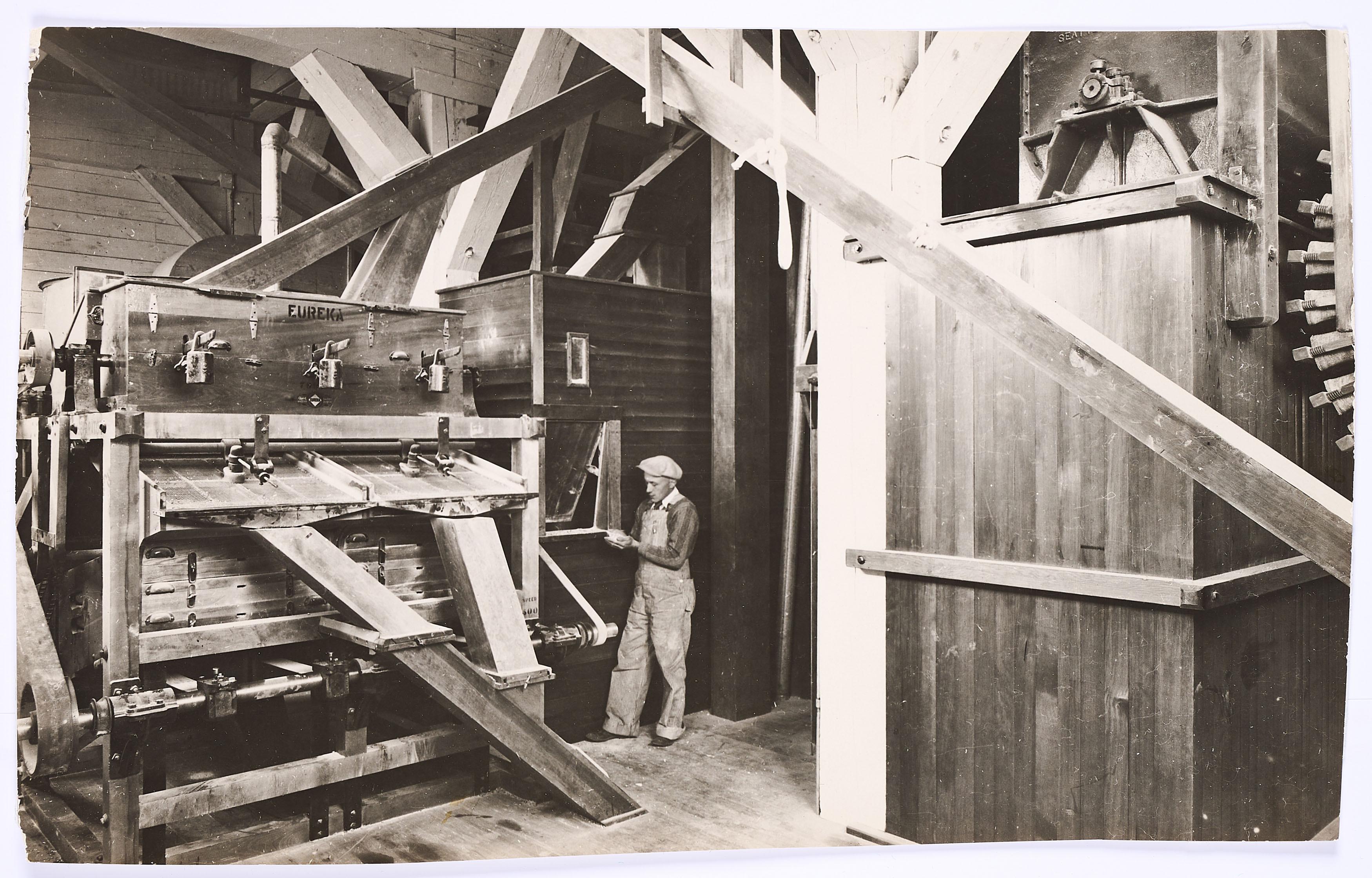 Lewis Wickes Hine - Wash Coop. egg & Poultry assoct.