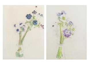 Leyly Matine-Daftary - Floral Studies 45 x 34 cm each