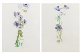 Leyly Matine-Daftary - Floral Studies 45 x 34cm each