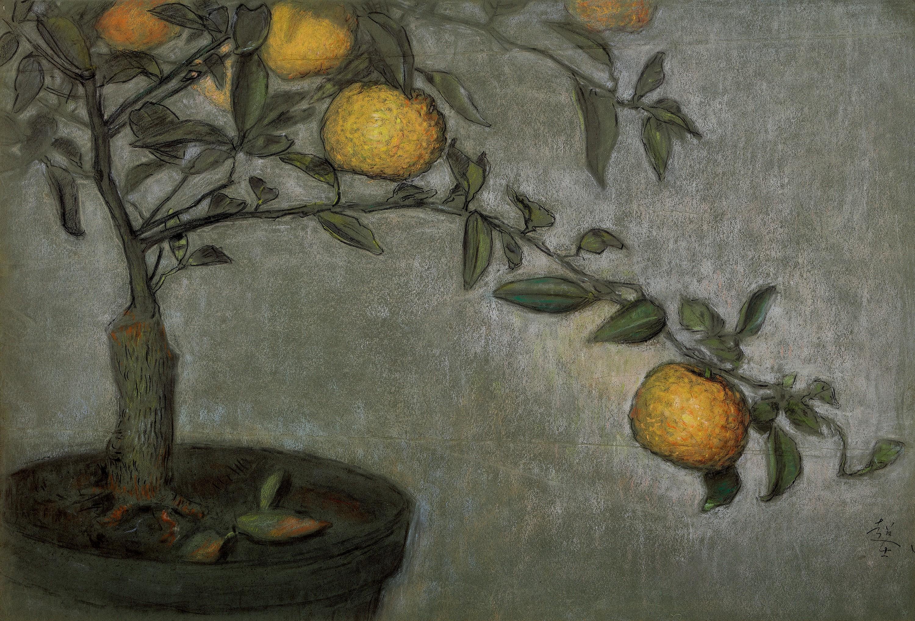 Li Chaoshi - Golden Orange(Painted In 1956)