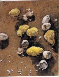 Li Chaoshi - New Born