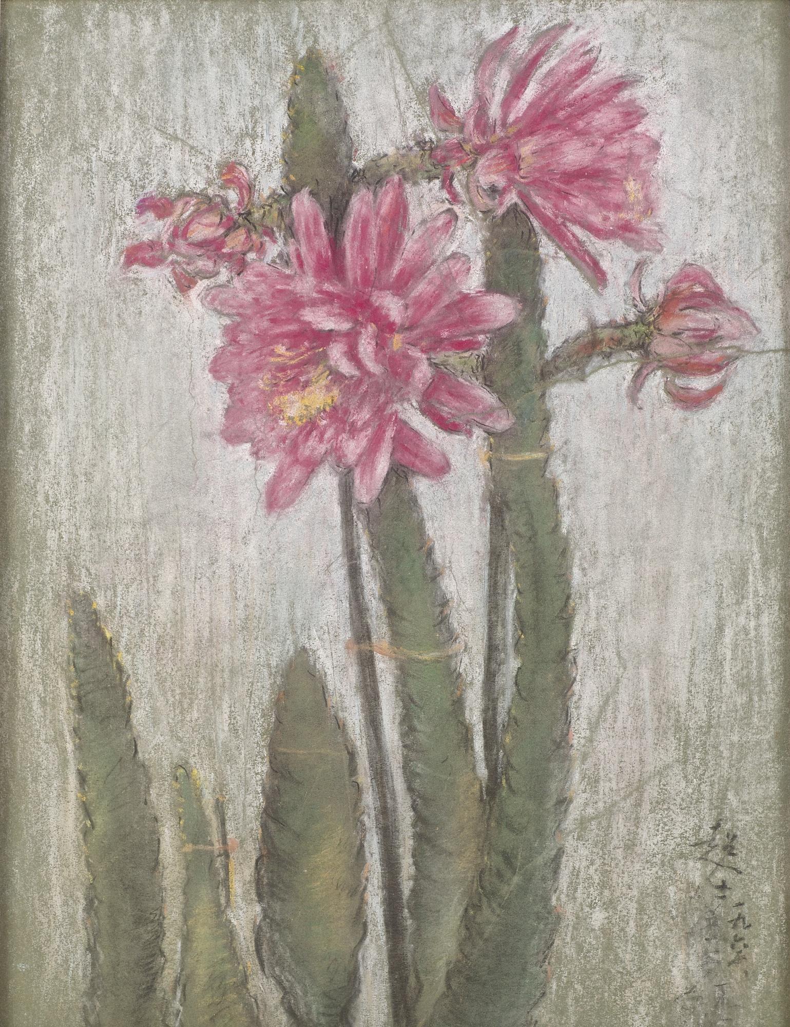 Li Chaoshi - Pond Lily Cactus