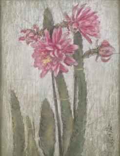 Li Chaoshi - Pond Lily Cactus