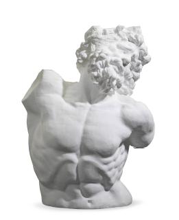 Li Hongbo - Bust of Laocoonte