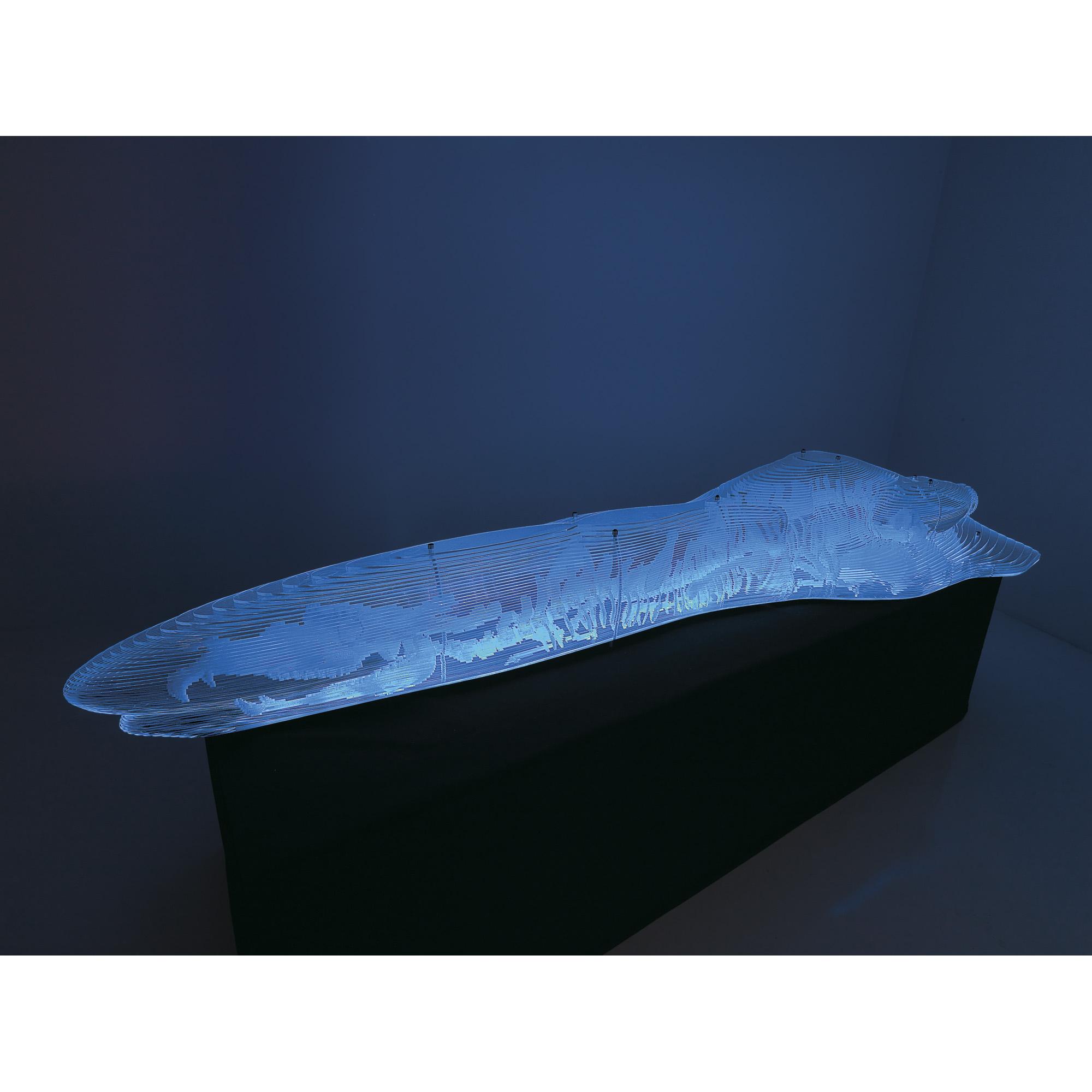 Li Hui - Amber - Dragon