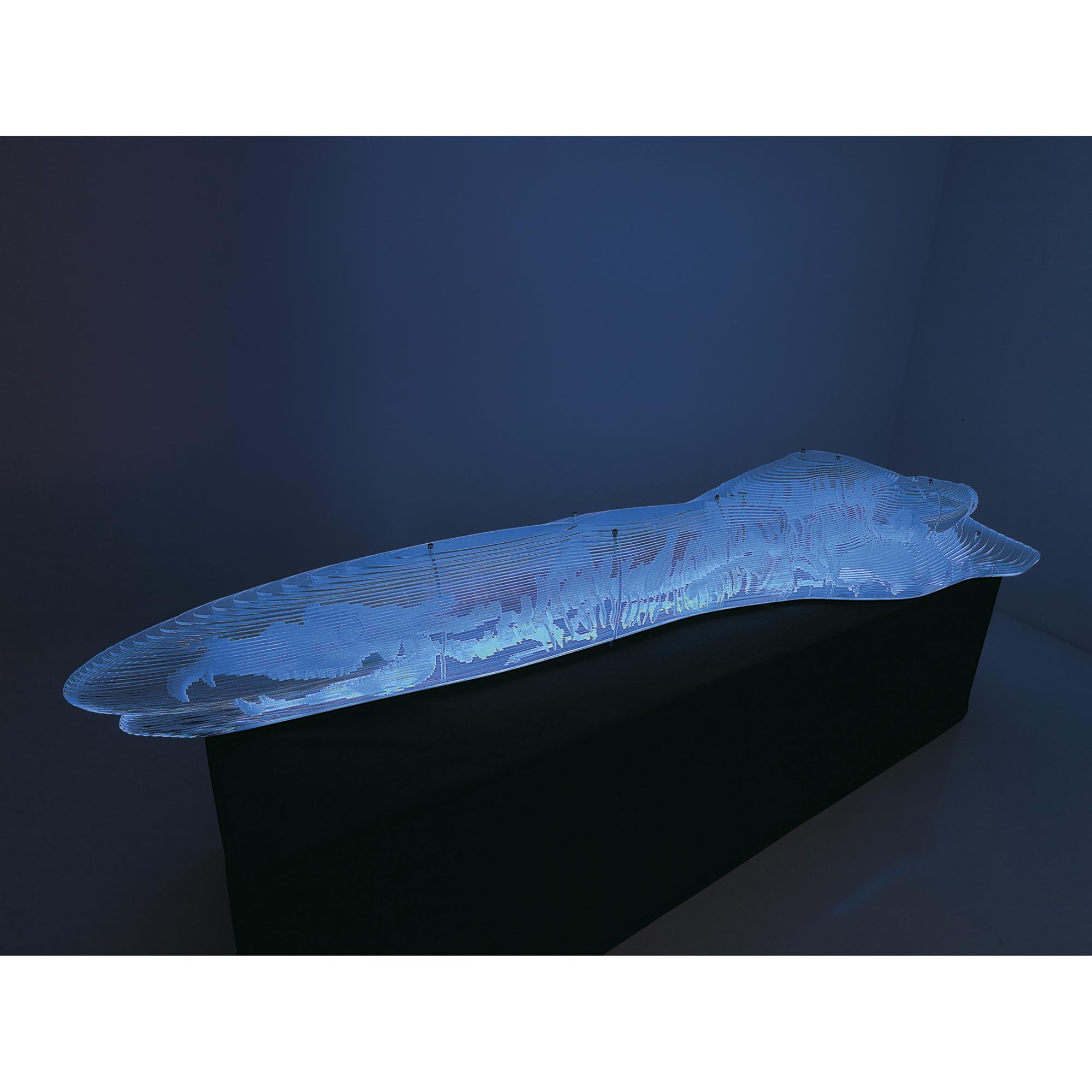 Li Hui - Amber - Dragon