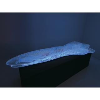 Li Hui - Amber - Dragon