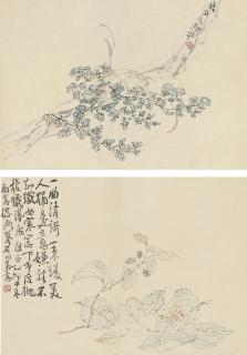 Li Shan - Flowers And Insects, After Shen Zhou