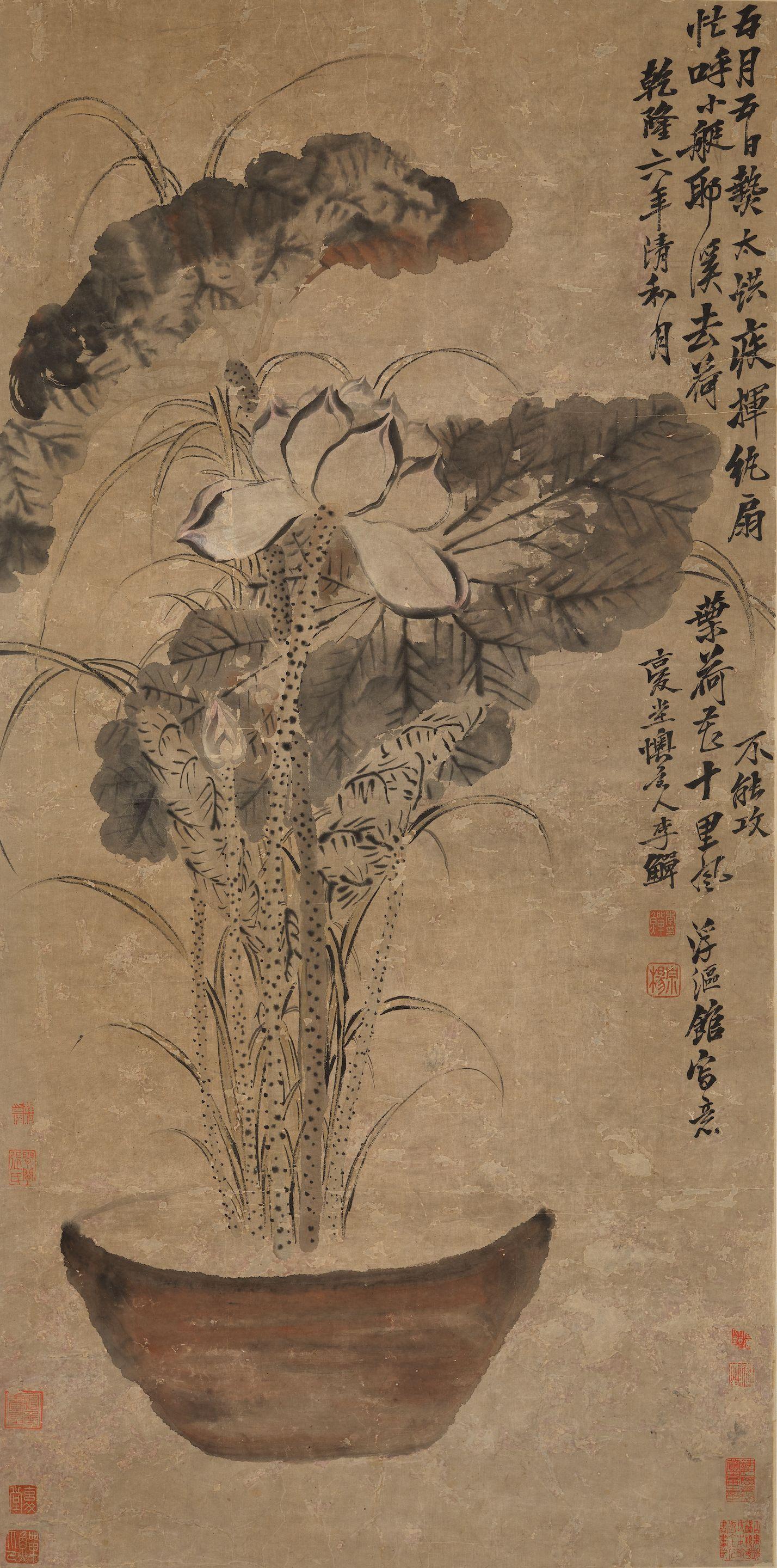 Li Shan - Lotus, 1741