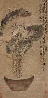 Li Shan - Lotus, 1741