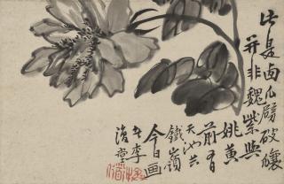 Li Shan - Peony