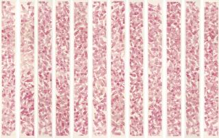 Li Tingting - Still Objects No. 27 (Set Of Twelve)