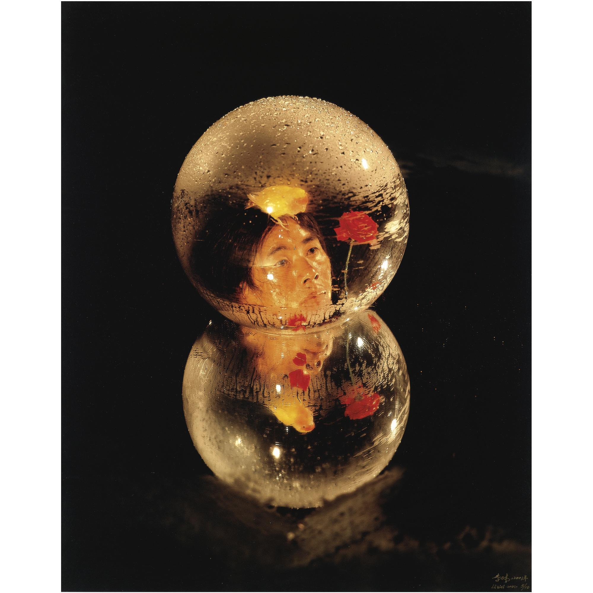 Li Wei - Transparent Ecology No. 3, 2001