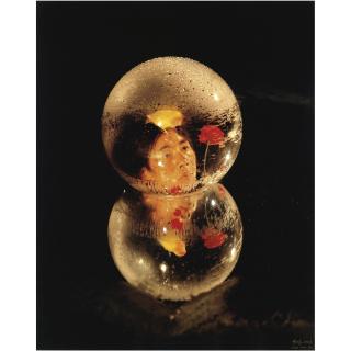 Li Wei - Transparent Ecology No. 3, 2001