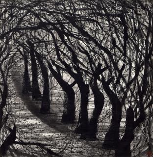 Li Xiaoke - Dense Forest