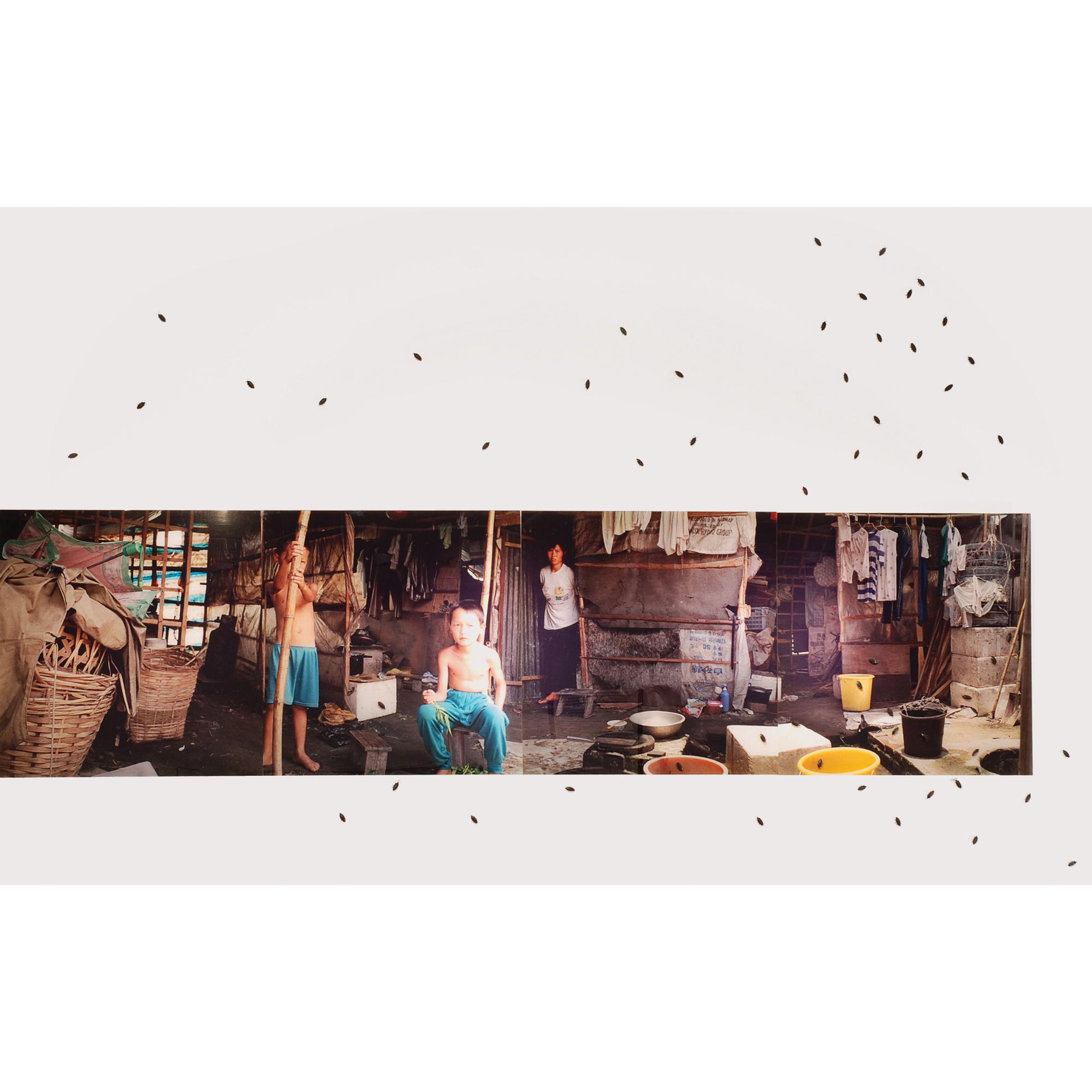 Liang Juhui - People And Cockroaches (Employed Farmer) (Set Of Four)