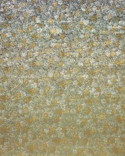 Liang Yuanwei - Untitled 2013.17