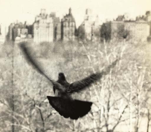 Lida Moser - From a Window on Central Park West, 1955