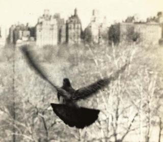 Lida Moser - From a Window on Central Park West, 1955