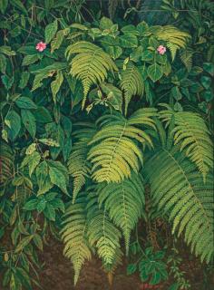 Lien Chien-Hsing - Et Asks Are You Looking At Me