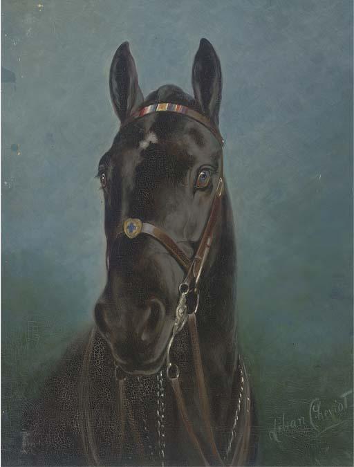 Lilian Cheviot - The black stallion
