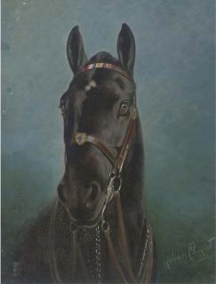 Lilian Cheviot - The black stallion