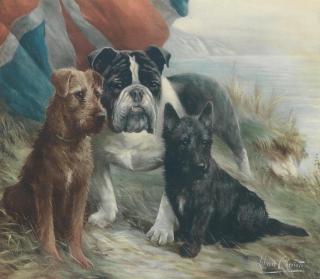Lilian Cheviot - The dogs of Great Britain