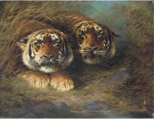 Lilian Cheviot - Tigers