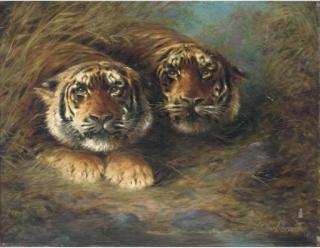 Lilian Cheviot - Tigers