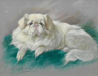 Lilian Cheviot - White Pekingese