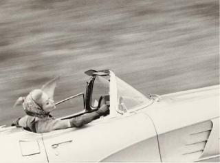 Lillian Bassman - Touch of Dew, Lisa Fonssagrives, Harper\'S Bazaar, New York, 1961