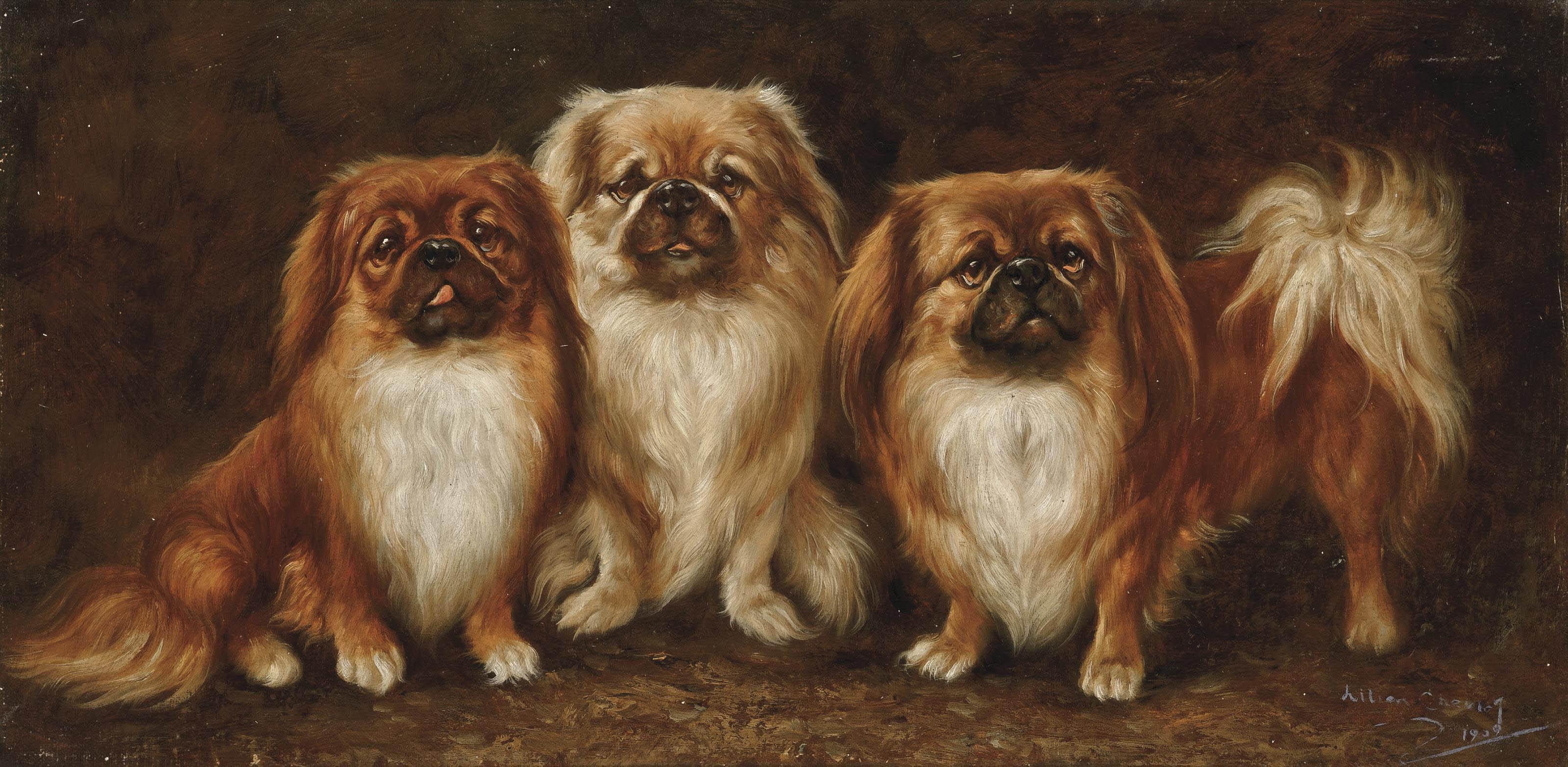 Lillian Cheviot - Three Pekingese