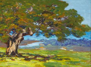 Lillie May Nicholson - Monterey Bay from Under the Oak