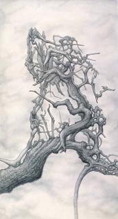 Lin Jyu - The Immortal #5