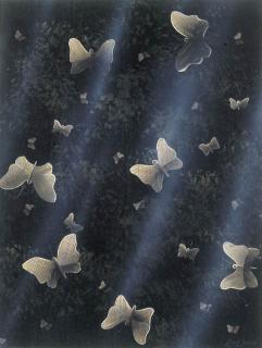 Lin Onus - Butterflies